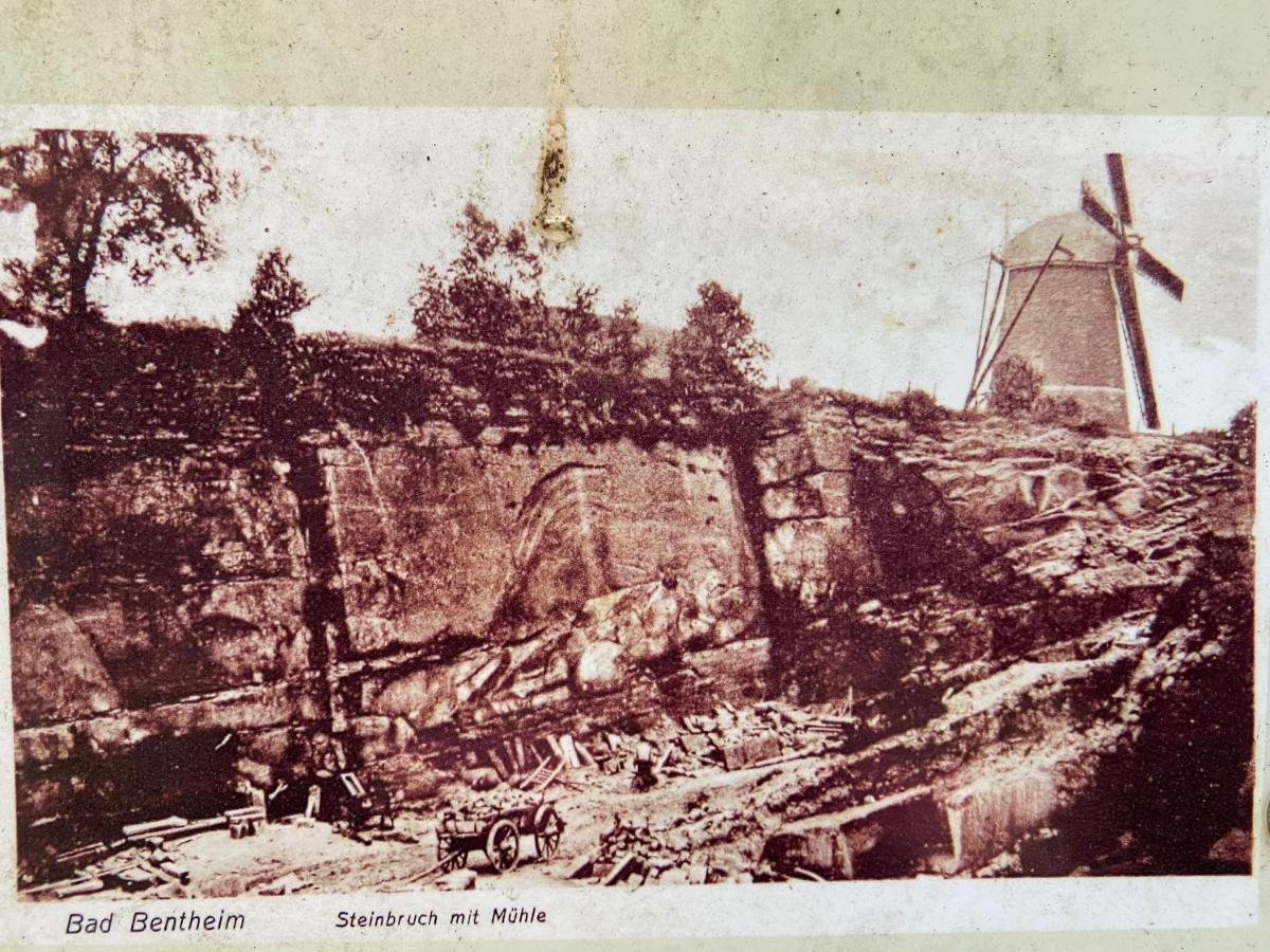 "An Der Alten Muehle 1" Fewo 120 Qm, Zwei Grosse Schlafzimmer, Suedbalkon, Gartenterrasse & Wallbox Bad Bentheim Exterior foto
